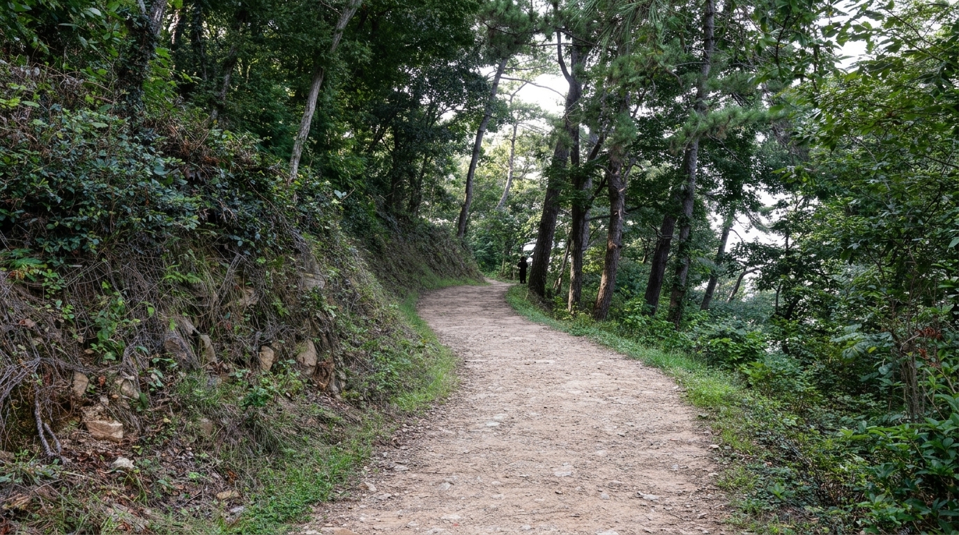 롤 A — 탈락. 0점 · 3위 · Hard violation: a person is clearly visible standing on the path in the middle distance, violating the strict ban on people and excluded scene transients.