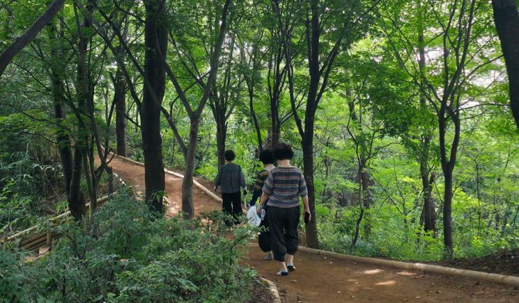 3. 사용 가능. gemini-pro: 오솔길의 형태와 비례가 뚜렷하며 연속적인 구조가 보임. / gpt: 숲길 자체는 분명하나 여러 보행자와 굽은 구도 때문에 전체 폭과 연속성을 읽기 다소 어렵다.