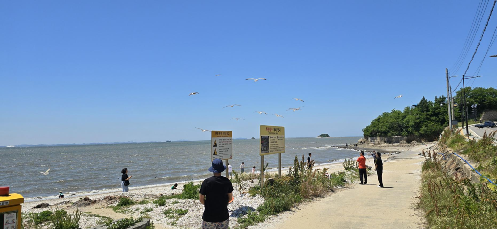 bg_mainland_harbor · 9