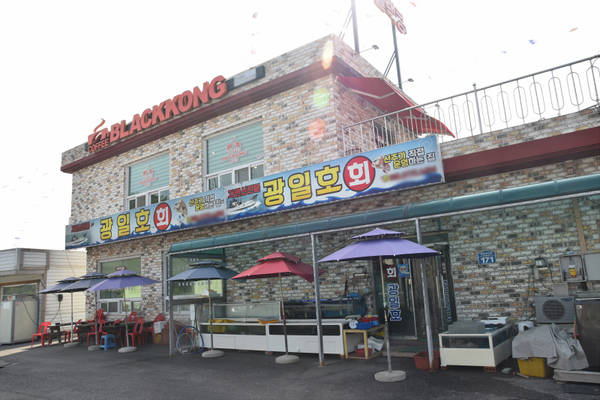 #9 · 평균 84.5 (gemini 78.0 / gpt 91.0)
gemini-pro: 건물과 야외 구역이 보이나 다소 산만함. / gpt: 일상적인 횟집 건물의 전체 입면과 출입구, 파라솔이 설치된 야외 좌석이 함께 보여 충분히 좋은 참고 자료다.