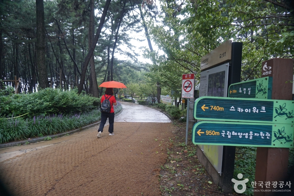 #3 · 평균 0.0 (gemini 0.0 / gpt 0.0)
gemini-pro: 포장된 현대식 공원 산책로로 부적합함. / gpt: 소나무 숲길과 현대식 안내판이 중심이며 새김 석재 표지석은 보이지 않는다.