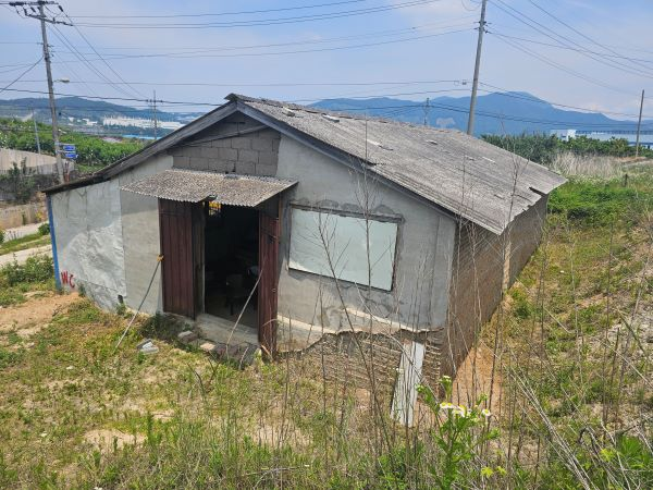 6. 사용 가능. gemini-pro: 낡은 소규모 농촌 창고의 평범하고 적절한 예시. / gpt: 밭 주변의 소규모 창고형 부속건물이 선명하며 출입문과 외부 지면도 보이지만 규모가 작고 정면 일부가 식생에 가린다.