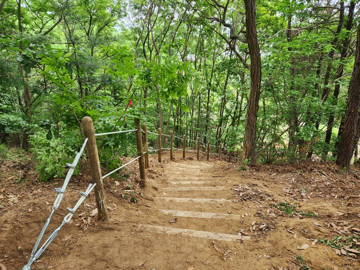 1. 사용 가능. gemini-pro: 숲길 오르막 계단과 목재 난간의 형태가 뚜렷하게 잘 나타남. / gpt: 숲속 경사 흙길과 계단, 로프 난간이 잘 보이지만 활엽수 비중이 높고 계단 구간에 집중되어 있다.